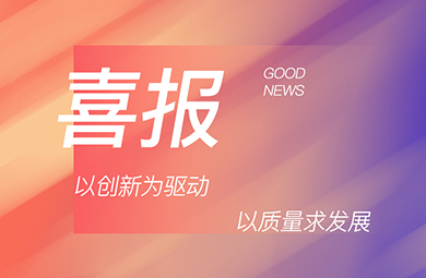 2025年度河南省质量标杆